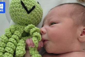Crochet octopus toys bring tactile comfort to premature babies at Western Sydney NICUs