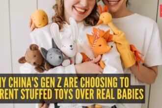 Why China's Gen Z are choosing to parent stuffed toys over real babies |