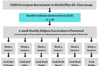 Healthy helpers: using culinary lessons to improve children’s culinary literacy and self-efficacy to cook