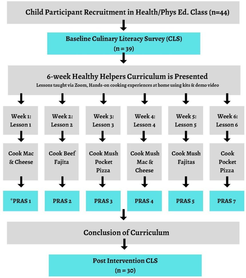 Healthy helpers: using culinary lessons to improve children’s culinary literacy and self-efficacy to cook