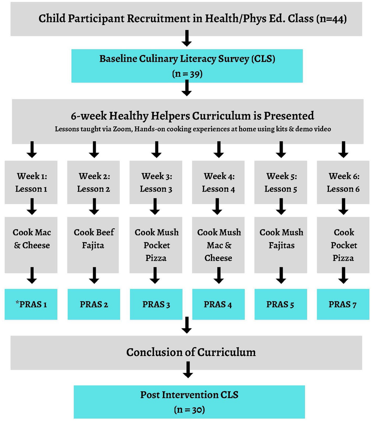 Healthy helpers: using culinary lessons to improve children’s culinary literacy and self-efficacy to cook