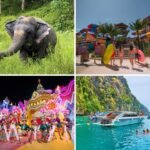 Things to do in Phuket with kids - Image credit: Phuket Elephant Sanctuary, Andamanda Phuket, Pelago, Carnival Magic