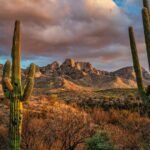 Things To Do In Tucson, Arizona: The Southwest's Best-Kept Secret