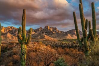 Things To Do In Tucson, Arizona: The Southwest's Best-Kept Secret
