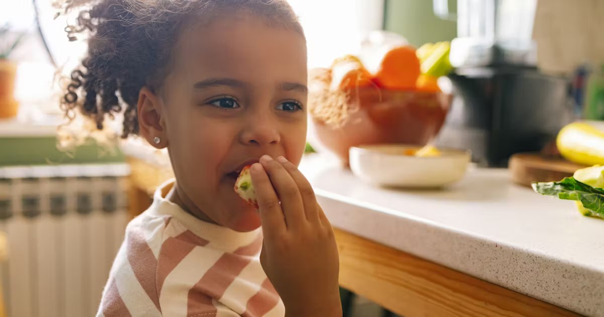Is It OK If My Child Eats The Same Thing Every Day? Asking For The Moms